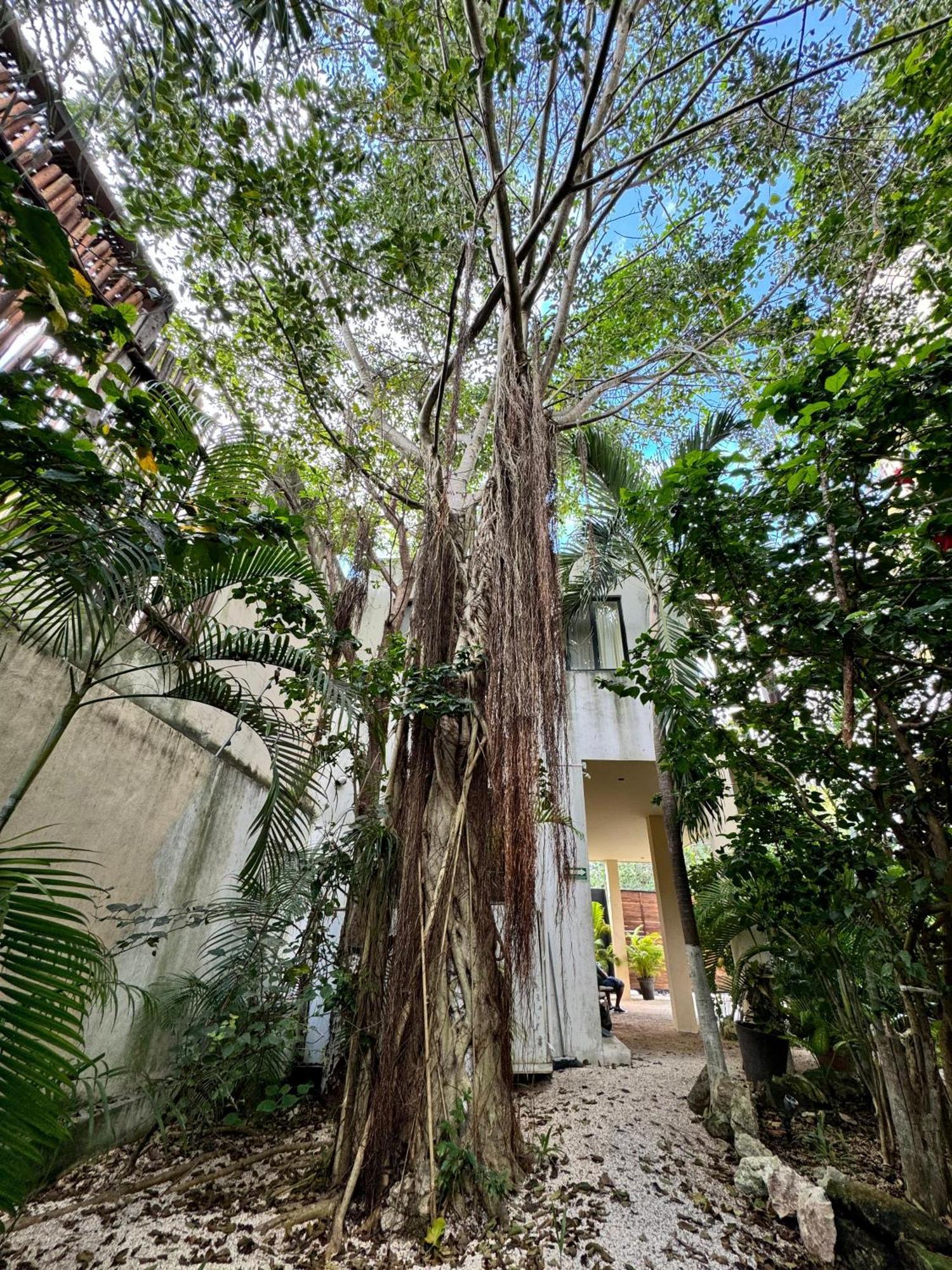 Starfit Hotel Boutique Beachclub, Spa & Gym Included Tulum Eksteriør bilde